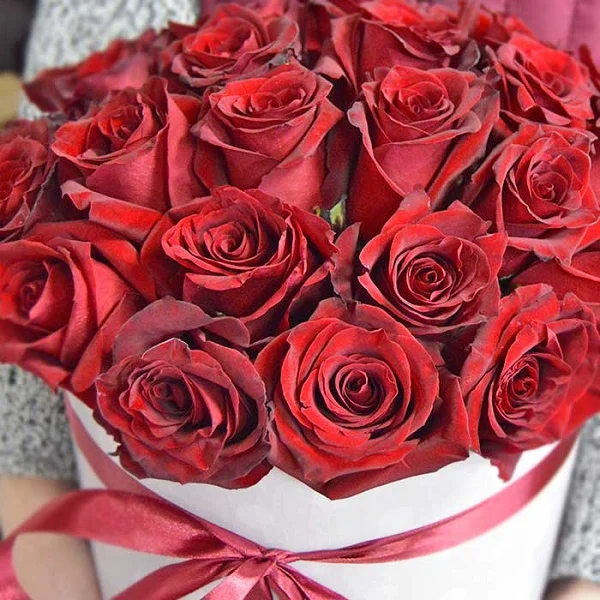 Beyaz Kutu Kırmızı Gül