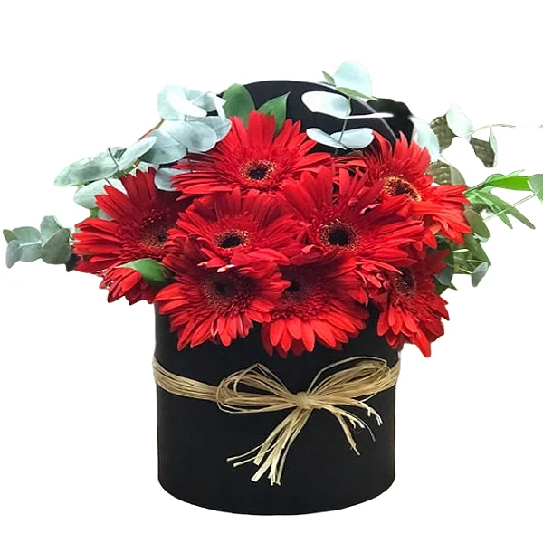 Kırmızı Gerbera Kutu