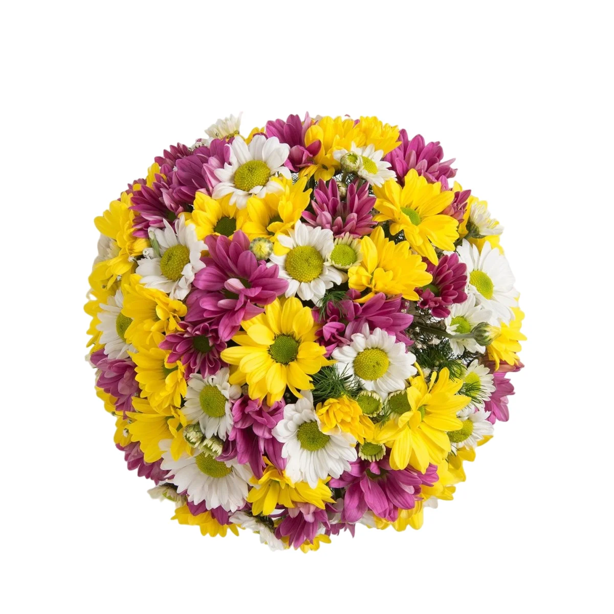 Seramik Vazo Renkli Papatyalar