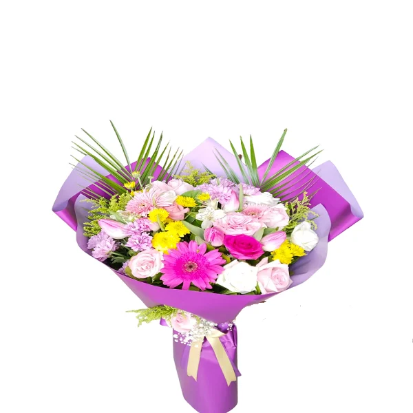 Pembe Rüya Bahçesi