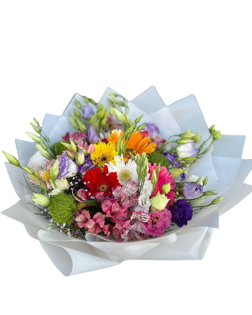 Renkli Mevsim Güzelliği